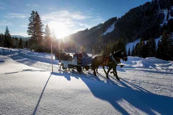 Pferdeschlittenfahrt durch die verschneite Winterlandschaft © Ikarus, Tom Lamm